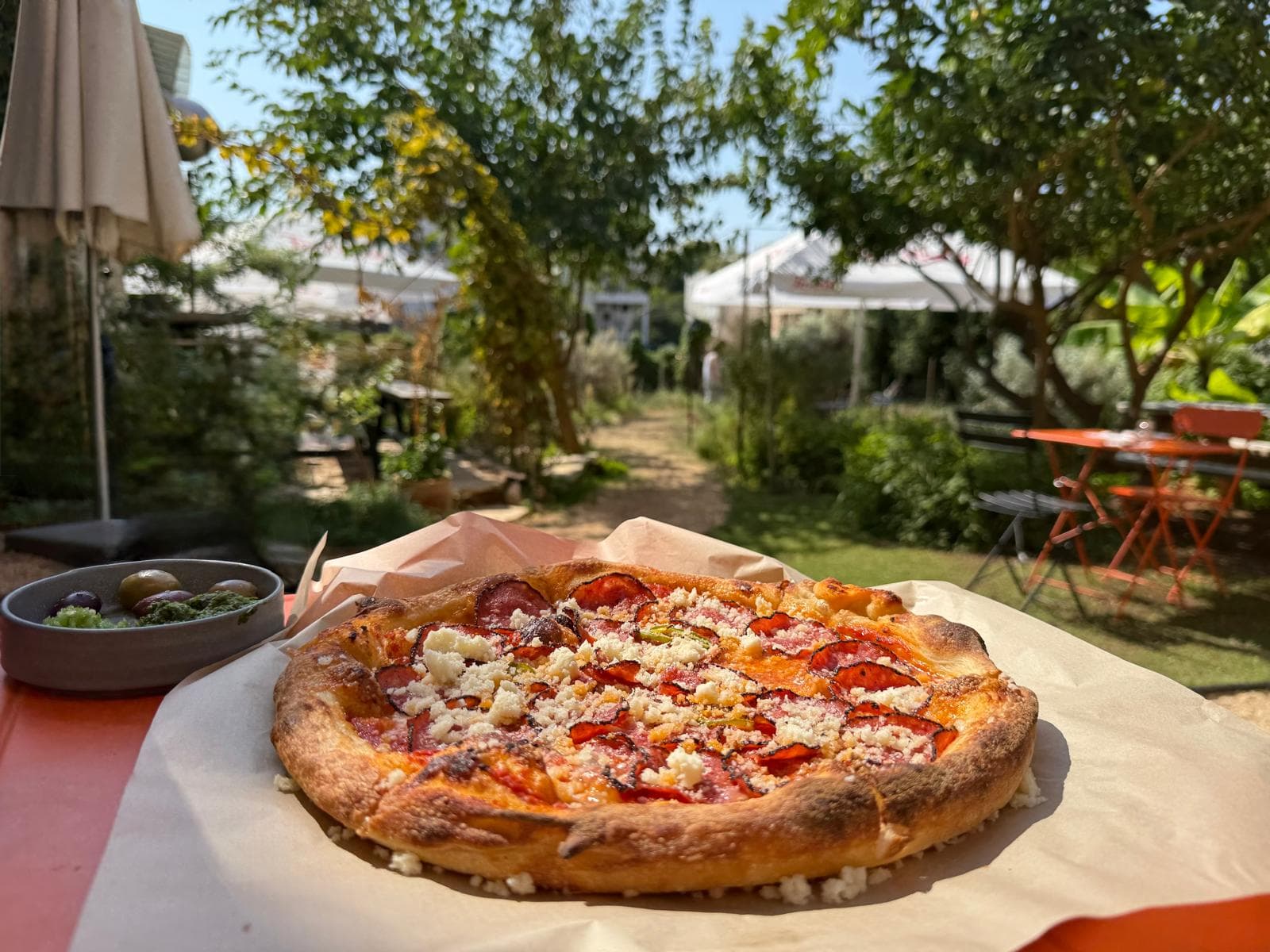 מצילים את פיצה לילה